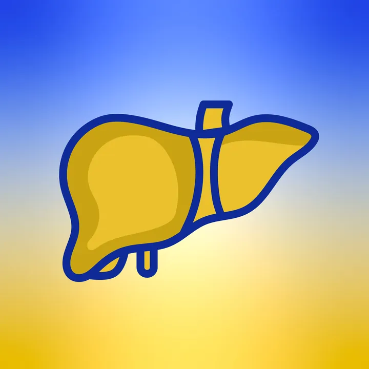 سلامت کبد
